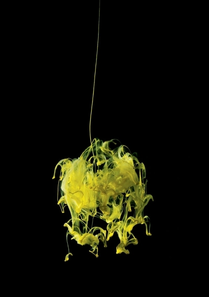 Photograph Mark Mawson Aqueous on One Eyeland